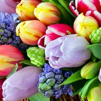 യഥാര്‍ത്ഥ ശബ്ദം - ശ്രീലാൽ കൊല്ലം