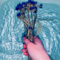 The Night We Met by Lord Huron