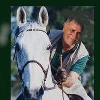 renatoporcelli578