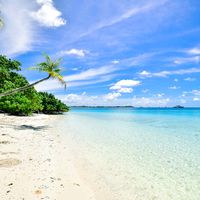 عمرو دياب يا اجمل عيون برج الحوت 1