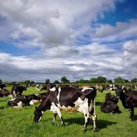 grasstomilk
