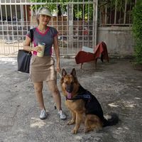 เสียงต้นฉบับ - tikangel