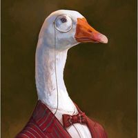 flakawexita