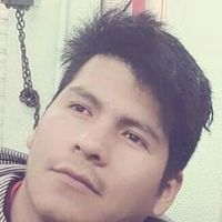 tomaschoque549