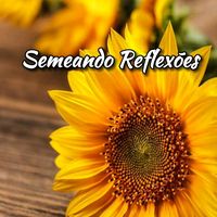 semeandoreflexoes1