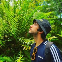 sergiodendron