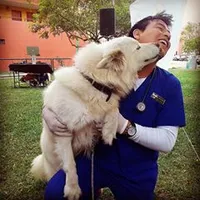 original sound - jhonsonvet