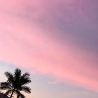 aesthetic_.videos3