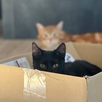 louis_und_bonnie