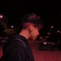 wherearethepalt4s