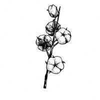 bawowna_tattoo_tallinn