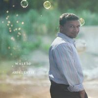 waleed.abdellatif