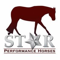 starperformancehorses