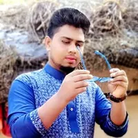 original sound - sahabuddinhasan