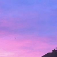 aestheticsxfor
