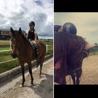 soulponys_arigono_chico_