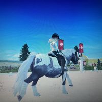 starstable_sso073