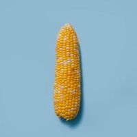 jewishcorn