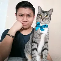 original sound - everreys