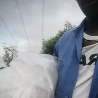 original sound - matlhodimatlhodi