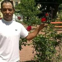 jozsefhamzi82