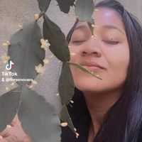 floresnovaso