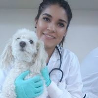 abigailmontoyagutierrez