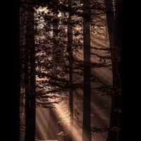 gothic_aesthetics