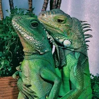 All Alone by Freddie Dredd