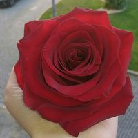 user031137969