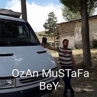 orijinal ses