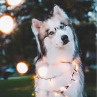 rp_moods