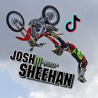 sheeny_fmx