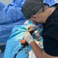 doc_ayoub