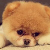 original sound - user5280245659267