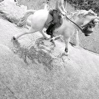 schleich._.diamonds._.2