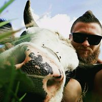 оригинальный звук