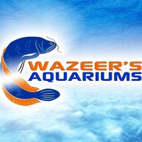 wazeersaquarium