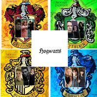 _.potterhead.19