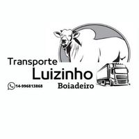 transporteluizinho
