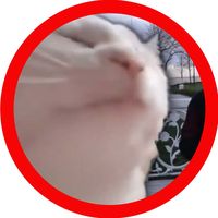 Sweater Weather The Neighbourhood