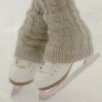 attheicerinkbrb