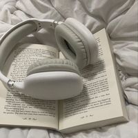 woodland the paper kites sped up