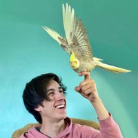 Dream Sweet in Sea Major