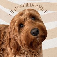 lilhankiedoodle
