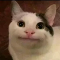 original sound - meme.hub.1200