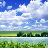 nyscenery