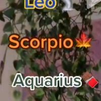 haveagooddayeverybody