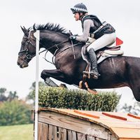 iM a tALenTeD EquEStRiaN