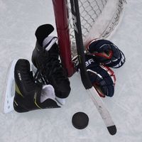 hothockeyromancebooks